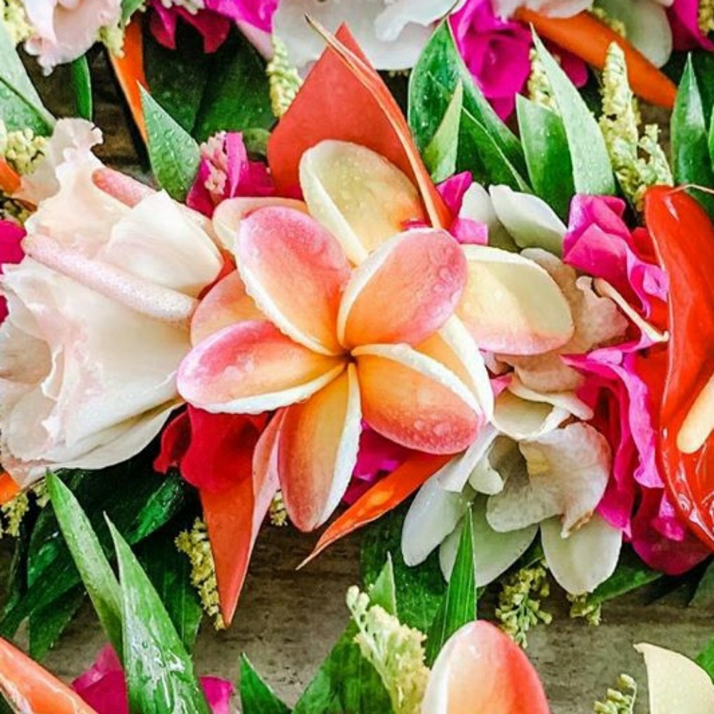 Meet your Posher, Carol